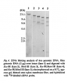 Thumbnail for version as of 02:38, 6 June 2014
