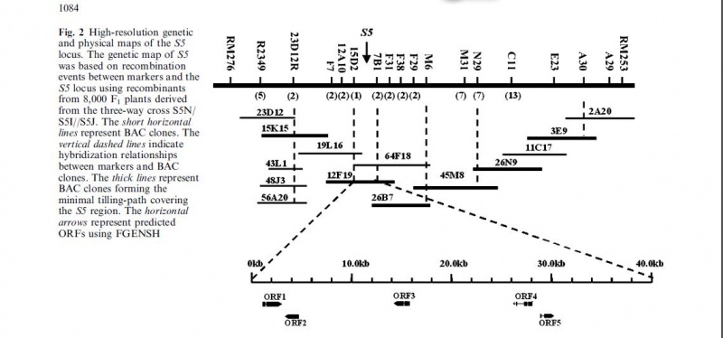 File:Zq1.jpg