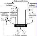 Thumbnail for version as of 16:28, 24 May 2014