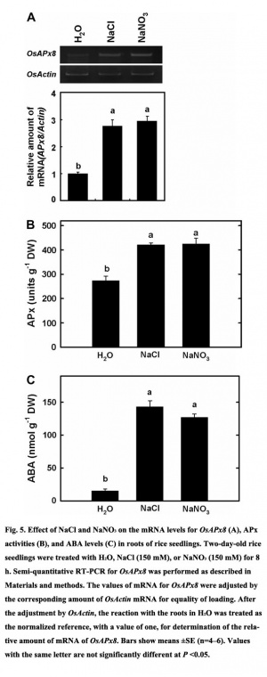 Figure 5. Expression(from reference) [2].