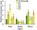 Thumbnail for version as of 03:35, 30 August 2013