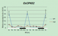 Thumbnail for version as of 16:22, 28 January 2015