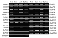 Thumbnail for version as of 18:23, 23 May 2014