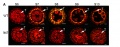 Thumbnail for version as of 12:16, 5 June 2014