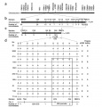 Thumbnail for version as of 09:03, 5 June 2014