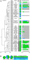 Thumbnail for version as of 15:06, 9 June 2014
