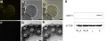 Thumbnail for version as of 02:23, 29 May 2014