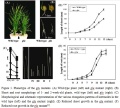 Thumbnail for version as of 02:59, 19 May 2014