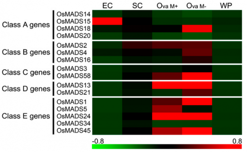 File:IC4R001-Microarray-2011-221106719-3.png