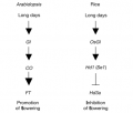 Thumbnail for version as of 04:23, 11 June 2014