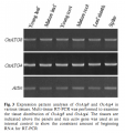 Thumbnail for version as of 02:55, 10 June 2014