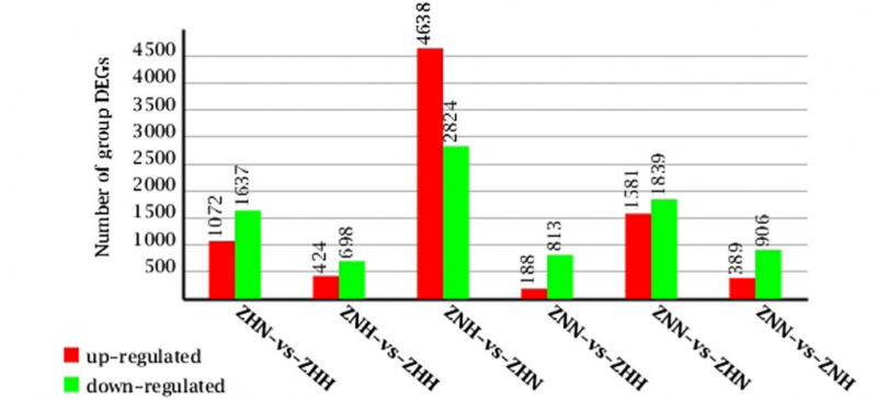 File:Sg2-RNA-Seq-2015-26576634-6.png