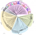 Thumbnail for version as of 14:09, 6 June 2014