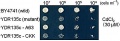 Thumbnail for version as of 15:30, 18 April 2013