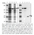 Thumbnail for version as of 14:56, 23 May 2014