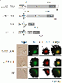 Thumbnail for version as of 12:13, 26 June 2014