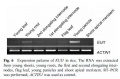 EUI-fig3.jpg