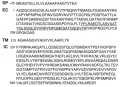 Thumbnail for version as of 10:19, 3 June 2014