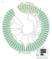 Thumbnail for version as of 01:01, 10 June 2014