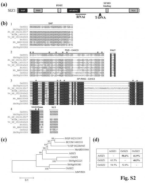 File:NPH 3538 sm FigS1-3.jpg