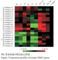 Thumbnail for version as of 03:33, 9 June 2014