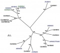 Thumbnail for version as of 15:30, 18 April 2013