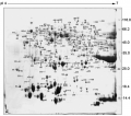 Thumbnail for version as of 13:18, 22 June 2016