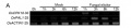 Thumbnail for version as of 11:43, 21 May 2014