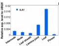Relative exp.level to UBQ5.pdf..jpg
