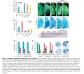 Thumbnail for version as of 15:59, 23 May 2014