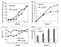 Thumbnail for version as of 14:33, 9 June 2014