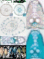 Thumbnail for version as of 12:48, 19 May 2014