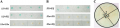 Thumbnail for version as of 08:20, 29 May 2014