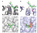 Thumbnail for version as of 14:13, 6 June 2014