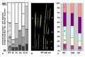 Thumbnail for version as of 06:10, 10 June 2014