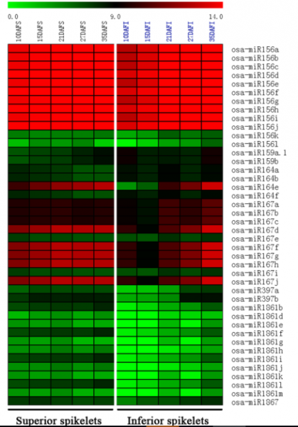File:IC4R006-miRNA-2014-25052585-2.PNG