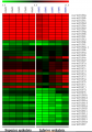 Thumbnail for version as of 09:02, 22 June 2016