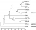 Thumbnail for version as of 09:27, 4 April 2013