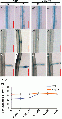 Thumbnail for version as of 06:23, 26 December 2014