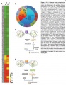 Thumbnail for version as of 03:15, 13 June 2014