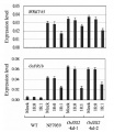 Thumbnail for version as of 11:17, 3 June 2014