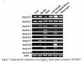 Thumbnail for version as of 03:01, 19 May 2014