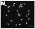 Thumbnail for version as of 09:19, 23 May 2014
