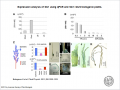 Thumbnail for version as of 08:12, 10 June 2014