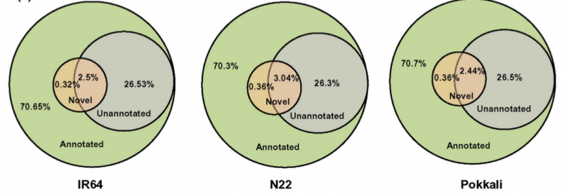 File:Sg9-RNA-Seq-2016-27029818-2.png
