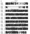 Thumbnail for version as of 12:03, 21 May 2014