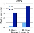 Thumbnail for version as of 12:15, 4 June 2014