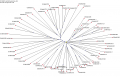Thumbnail for version as of 08:07, 6 June 2014