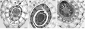 Thumbnail for version as of 10:44, 2 June 2014