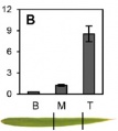 Thumbnail for version as of 12:27, 1 July 2014